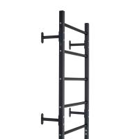 картинка Шведская стенка HomeGym графит от магазина trenager71.ru в Туле