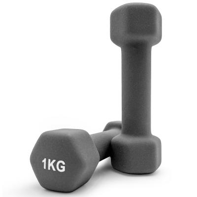 Гантель UNIX Fit неопреновая 1 кг серый, 2 шт.