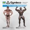 Гакк-машина Gymleco 344