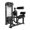 Разгибание спины Protrain CP121 — тренажёр для спины, купить в Москве