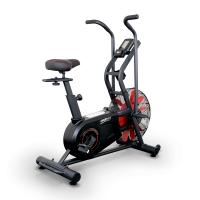    Everyfit ORBF11   trenager71.ru  