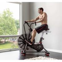   Schwinn Airdyne AD8   trenager71.ru  