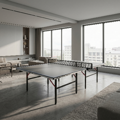 Теннисный стол Scholle, TT350 Indoor