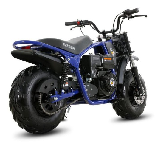 Минибайк Lucky Duck Ranger RB200 MAX синий — купить в Туле с рассрочкой в магазине электро- и мототранспорта