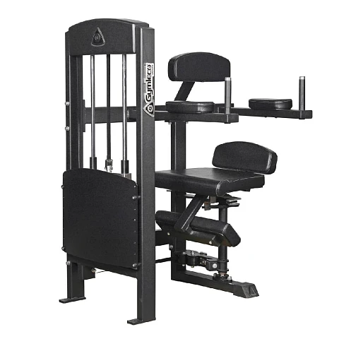 Вращение торса Gymleco 375