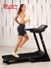 Беговая дорожка Titanium Masters Physiotech TCA купить в Туле