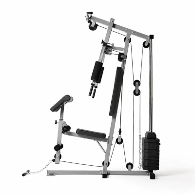 Силовой комплекс DFC HomeGym D7001 со стеком 45 кг — купить в Туле в магазине тренажеров