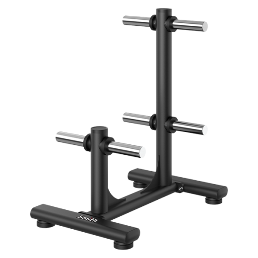 Стойка для дисков Smith RE6021 купить в Туле в магазине тренажеров ArtRelax