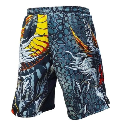   MMA Rusco Dragon 