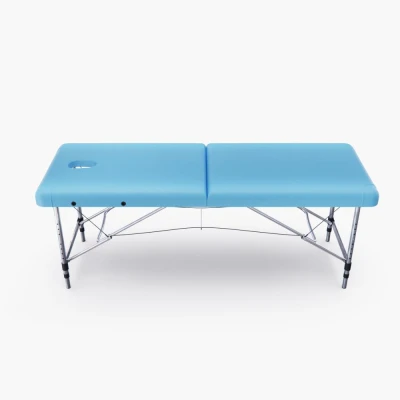 Массажный стол DFC NIRVANA Elegant, 186 x 70 см, голубой