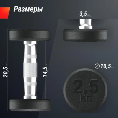 Гантель UNIX Fit PRO круглая обрезиненная 2,5 кг, 2 шт.