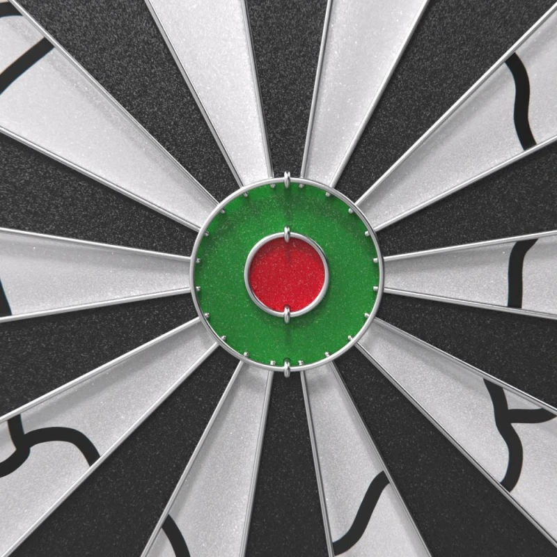 Дартс DFC PRINT двусторонний 45 см, 6 дротиков — купить в Туле