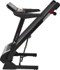 Беговая дорожка Titanium Masters Physiotech TCA купить в Туле