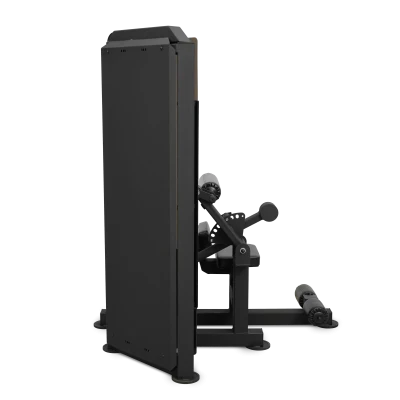 Пресс-машина BRONZE GYM PARTNER ML-812 — профессиональный тренажёр для пресса