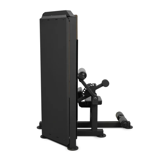 Пресс-машина BRONZE GYM PARTNER ML-812 — профессиональный тренажёр для пресса