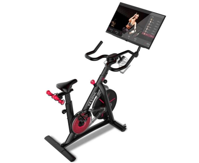 Велотренажер YESOUL Smart Spinning Bike G1MAX черный — купить в Туле