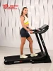 Беговая дорожка Titanium Masters Physiotech TBM купить в Туле