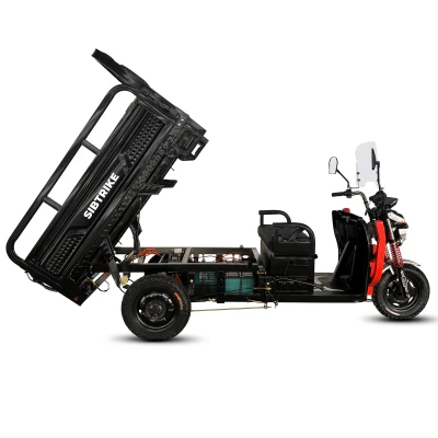Электротрицикл WHITE SIBERIA SIBTRIKE CARGO 1000 кг 1.5