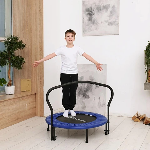 Батут с поручнем DFC JUMPFIT 36'' синий