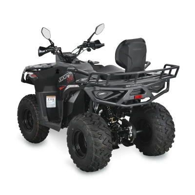 Бензиновый квадроцикл WHITE SIBERIA BARS 320CC PRO (черный)