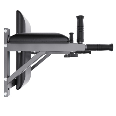 Брусья настенные DFC Homegym G294