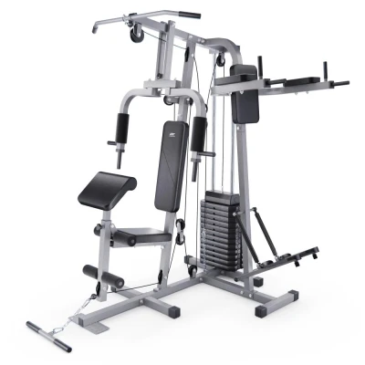 Силовой комплекс DFC HomeGym D7002-60 стек 60 кг — купить в Туле в магазине тренажеров