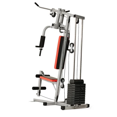 Силовой комплекс DFC HomeGym D7000 со стеком 45 кг — купить в Туле в магазине тренажеров