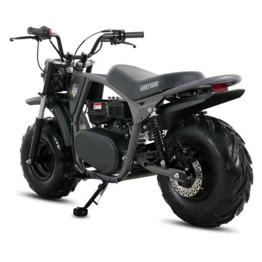 Минибайк Lucky Duck Ranger RB200 MAX серый — купить в Туле с рассрочкой в магазине электро- и мототехники