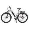 Электровелосипед WHITE SIBERIA CAMRY LIGHT 500W (матовый серебристый) — купить в Туле