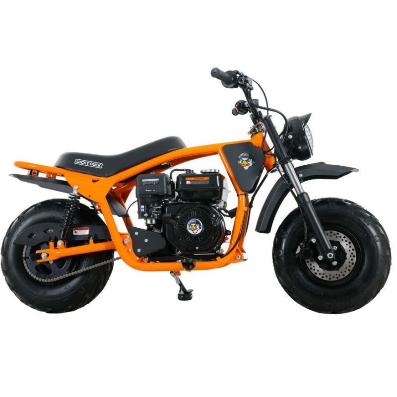 Минибайк Lucky Duck Ranger RB200 MAX оранжевый — купить в Туле с рассрочкой в магазине электро- и мототехники