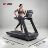 Беговая дорожка CardioPower Professional PRO CT300 V9E купить в Туле
