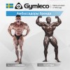 Бицепс сидя Gymleco 350 Бицепс сидя Gymleco 350