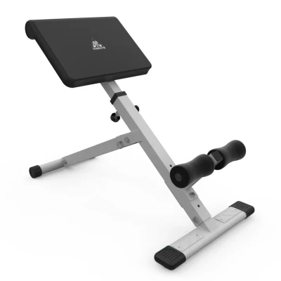 Гиперэкстензия DFC Homegym SJ1006W белая — купить в Туле