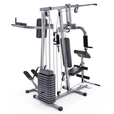 Силовой комплекс DFC HomeGym D7002-60 стек 60 кг — купить в Туле в магазине тренажеров