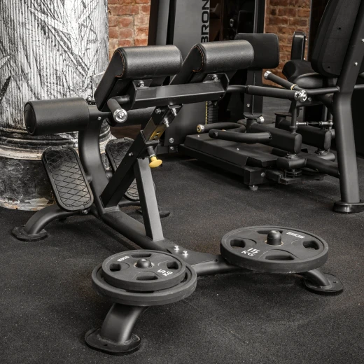 Гиперэкстензия профессиональная BRONZE GYM BR-1010 купить в Туле — ArtRelax