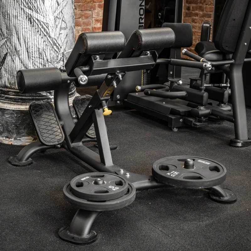 Гиперэкстензия профессиональная BRONZE GYM BR-1010 купить в Туле — ArtRelax