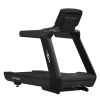 <h1>Купить профессиональную беговую дорожку CardioPower PRO CT550 V12T в Туле</h1>