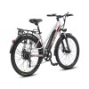 Электровелосипед WHITE SIBERIA CAMRY LIGHT 500W (матовый серебристый) — купить в Туле