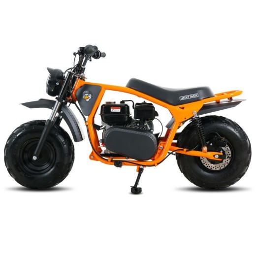 Минибайк Lucky Duck Ranger RB200 MAX оранжевый — купить в Туле с рассрочкой в магазине электро- и мототехники