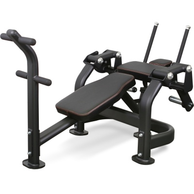 BRONZE GYM PL-1720 -