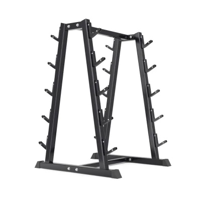 Стойка для грифов и штанг UNIX Fit BarRack 10 PRO (300 кг) — купить в Туле в магазине тренажеров ArtRelax
