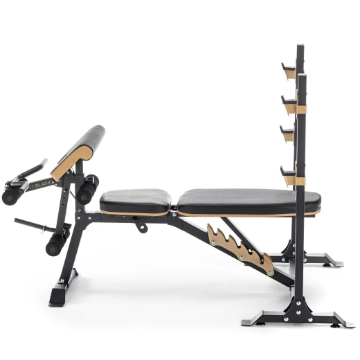 Многофункциональная скамья домашняя OXYGEN FITNESS MONT BLANC купить в Туле | ArtRelax
