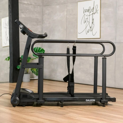 Беговая дорожка Orlauf Galeon купить в Туле