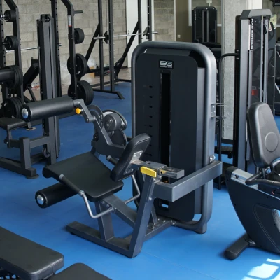 Сгибание/Разгибание ног сидя BRONZE GYM MIGHT 54 — профессиональный тренажер