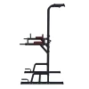 Турник-брусья DFC Power Tower G009B — купить в Туле в магазине Artrelax
