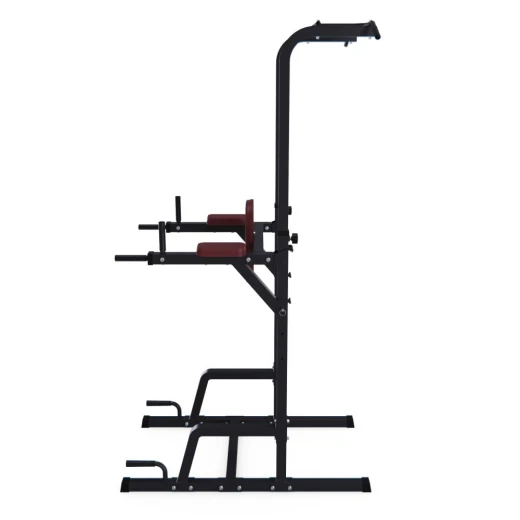Турник-брусья DFC Power Tower G009B — купить в Туле в магазине Artrelax