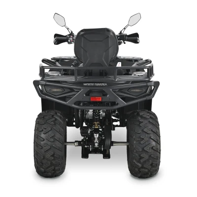 Бензиновый квадроцикл WHITE SIBERIA BARS 320CC PRO (черный)