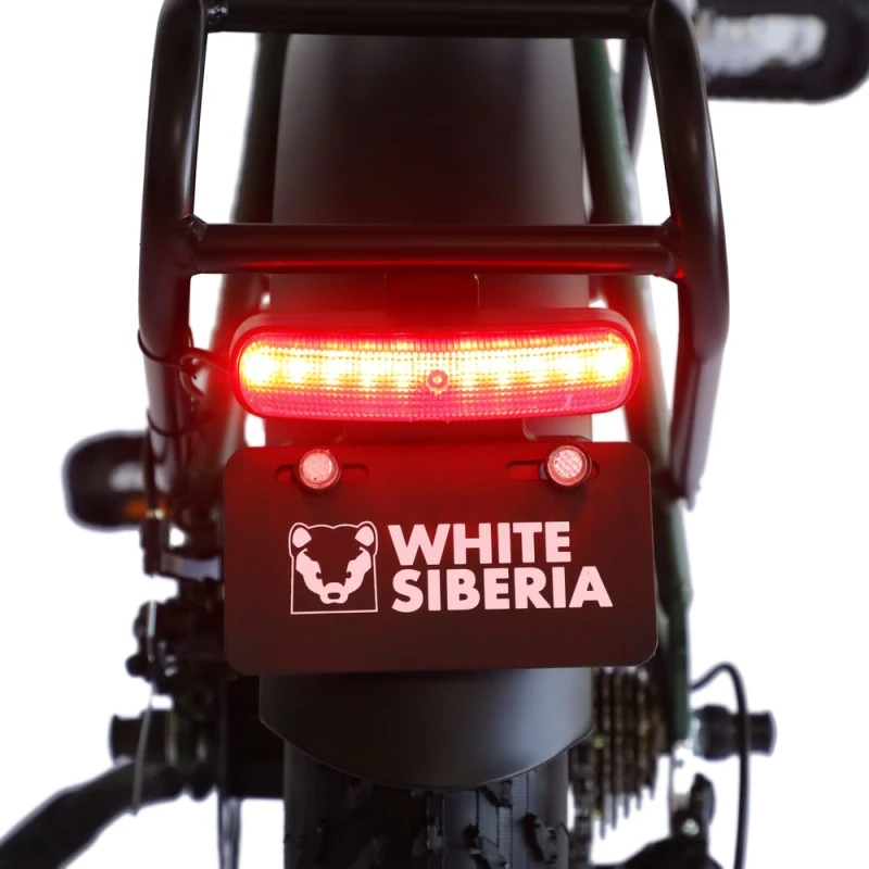 Электровелосипед WHTE SIBERIA SLAV PRO 1000W (матовый серый) — купить в Туле
