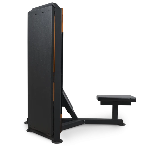 Горизонтальная тяга BRONZE GYM PARTNER ML-807 — профессиональный тренажер для спины