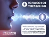 Массажное кресло OTO TITAN Grey — купить массажное кресло ОТО Титан серое